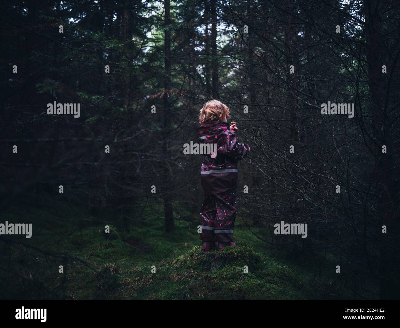 Petite fille en forêt Banque D'Images