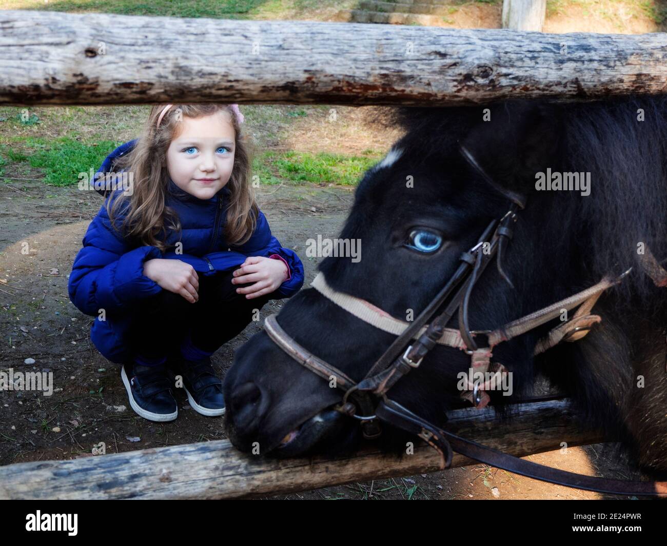 Portrait d'une fille qui se croupe par un cheval Banque D'Images