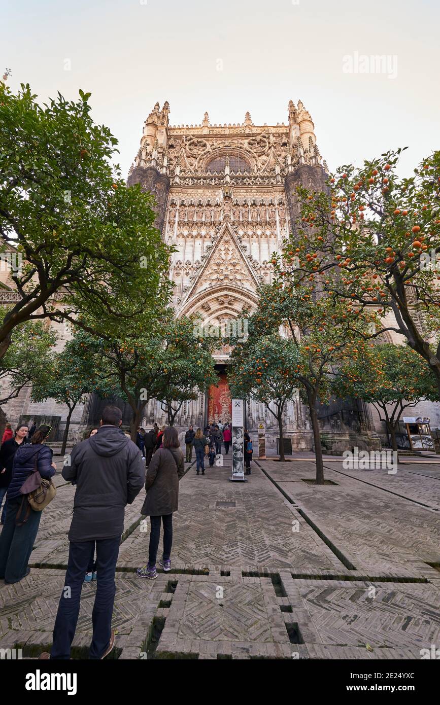 Séville, Andalousie, Espagne, Europe. Le patio de los Naranjos, ou cour de l'Orange Tree, fait partie de la cathédrale Santa Maria de la Sede de Séville. Banque D'Images