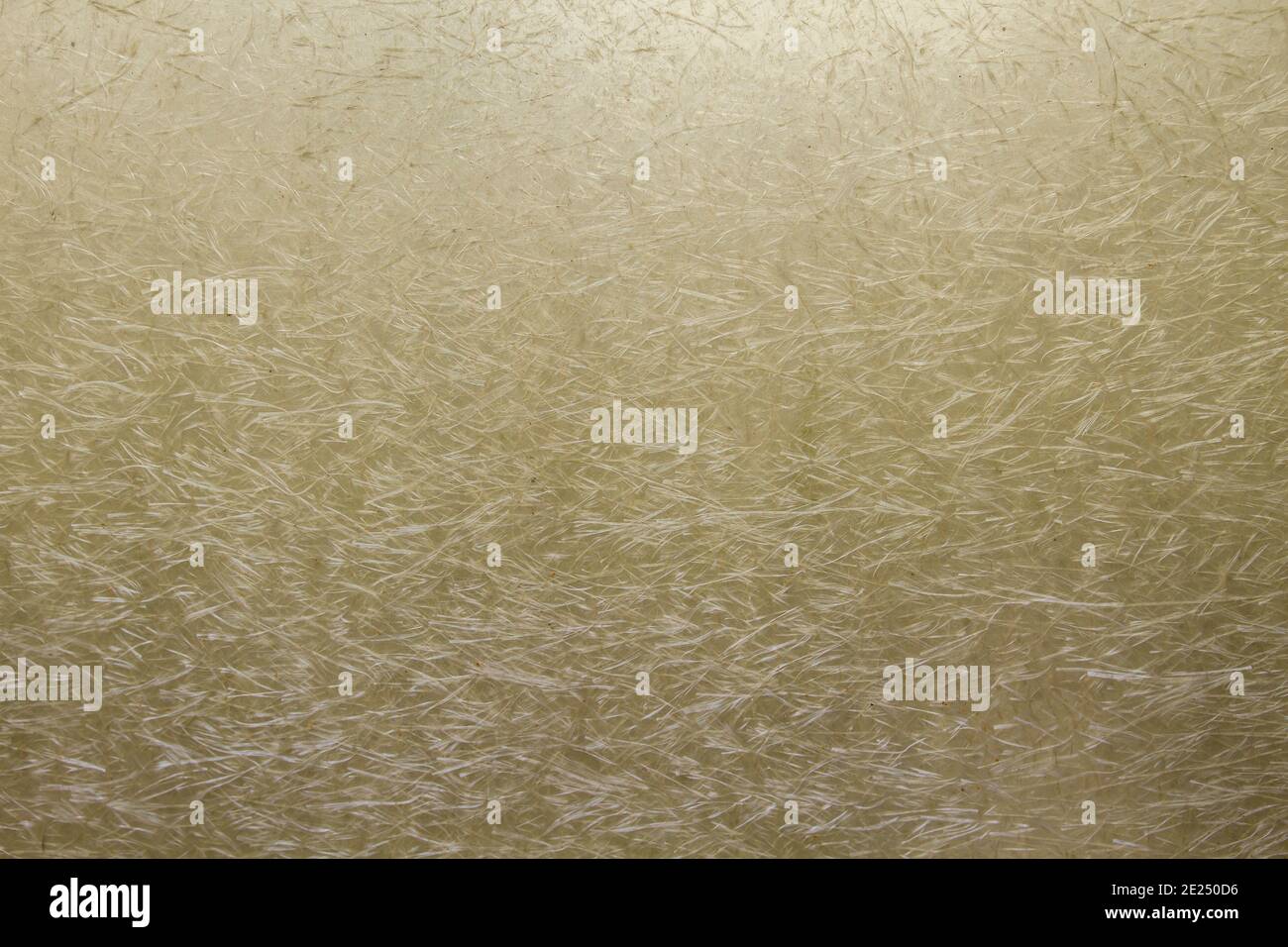 Texture de la feuille de polycarbonate en fibre de verre thermoplastique Banque D'Images