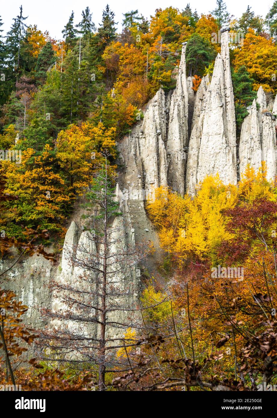 Les pyramides de la Terre blanche sont situées dans le village d'Auna di sotto, près de Bolzano dans le Tyrol du Sud, dans le nord de l'Italie. Paysage automnal. Unterin dans le Tyrol du Sud Banque D'Images