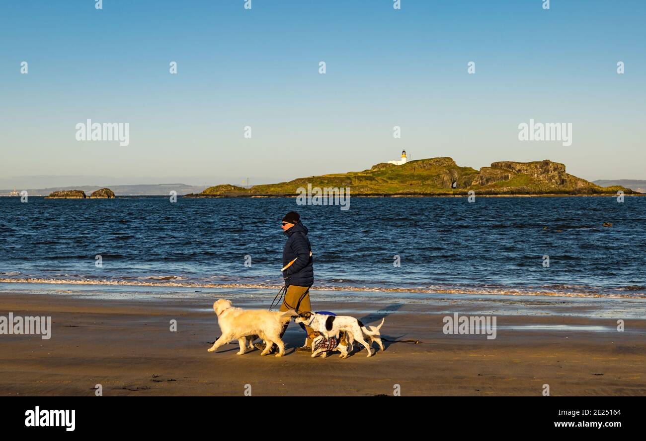 East Lothian, Écosse, Royaume-Uni, 12 janvier 2021. Météo au Royaume-Uni : journée froide et ensoleillée à la plage de Yellowcraig. Les habitants du comté semblent se conformer au message de séjour à la maison car la large étendue de la plage de Broad Sands est presque déserte malgré le beau temps avec Fidra Island dans le Firth of Forth alors qu'un homme marche des chiens sur le beac Banque D'Images