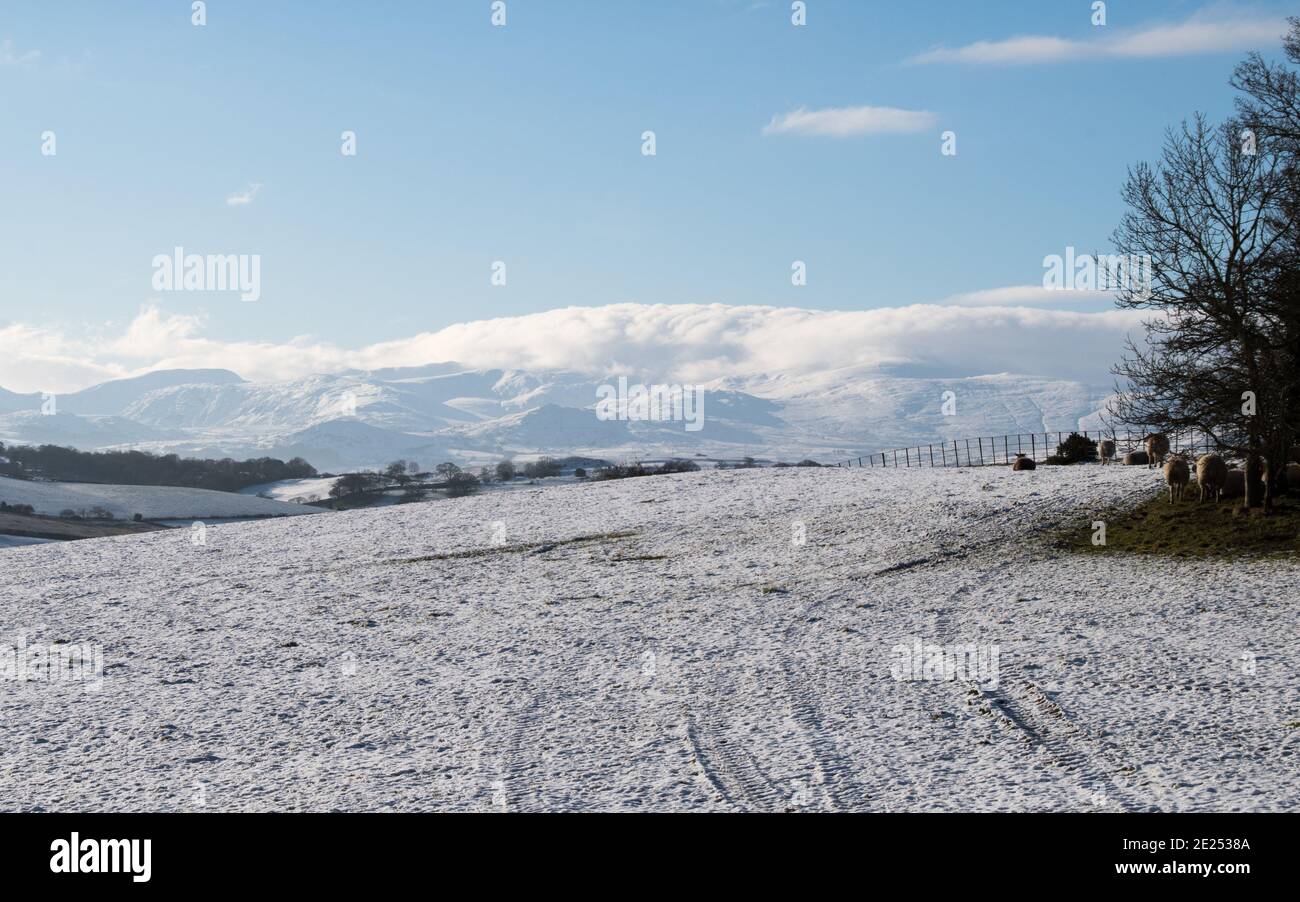 Scène neige hiver (météo Royaume-Uni) Banque D'Images