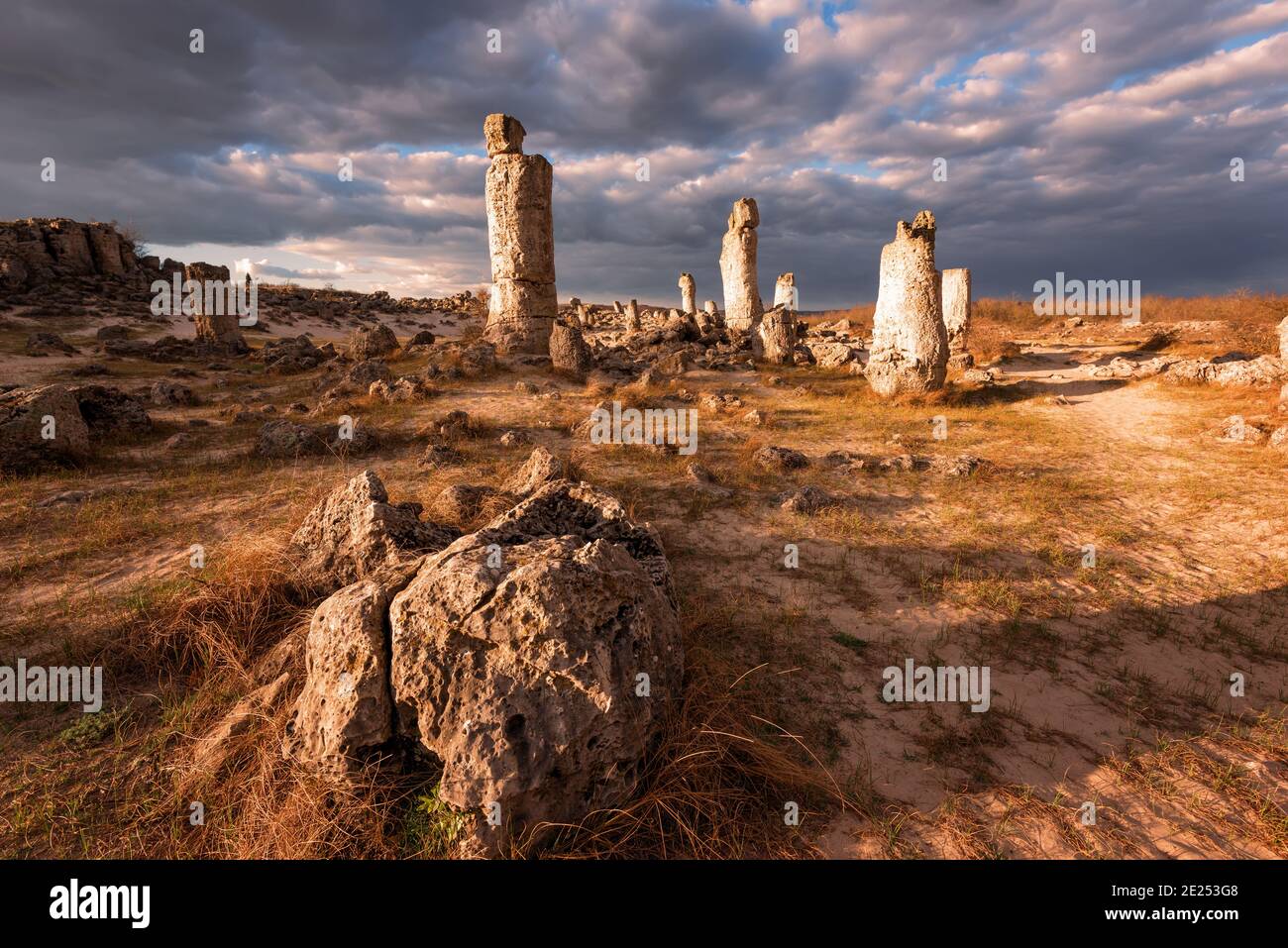 Phénomène formations rocheuses en Bulgarie autour de Varna - Pobiti kamani. Lieu national du tourisme. Pierre verticale. Pilier de la terre en Bulgarie Banque D'Images