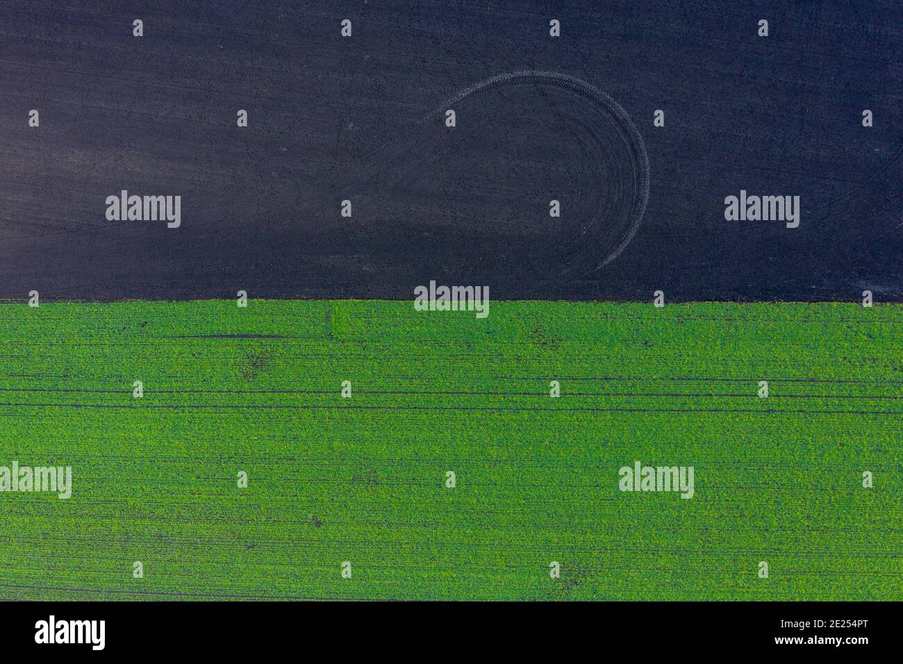 Előszállás, Hongrie - vue aérienne du champ de blé cultivé à la campagne, concept de ferme, texture agricole. Banque D'Images