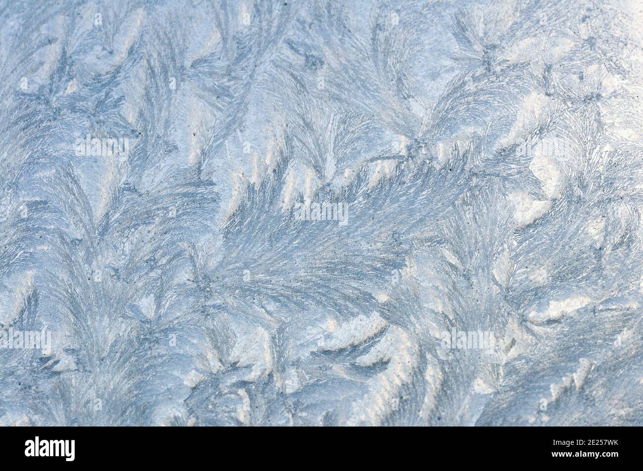 Design givré sur une fenêtre en hiver. Glace, nature abstraite, texture et motif de décembre Banque D'Images