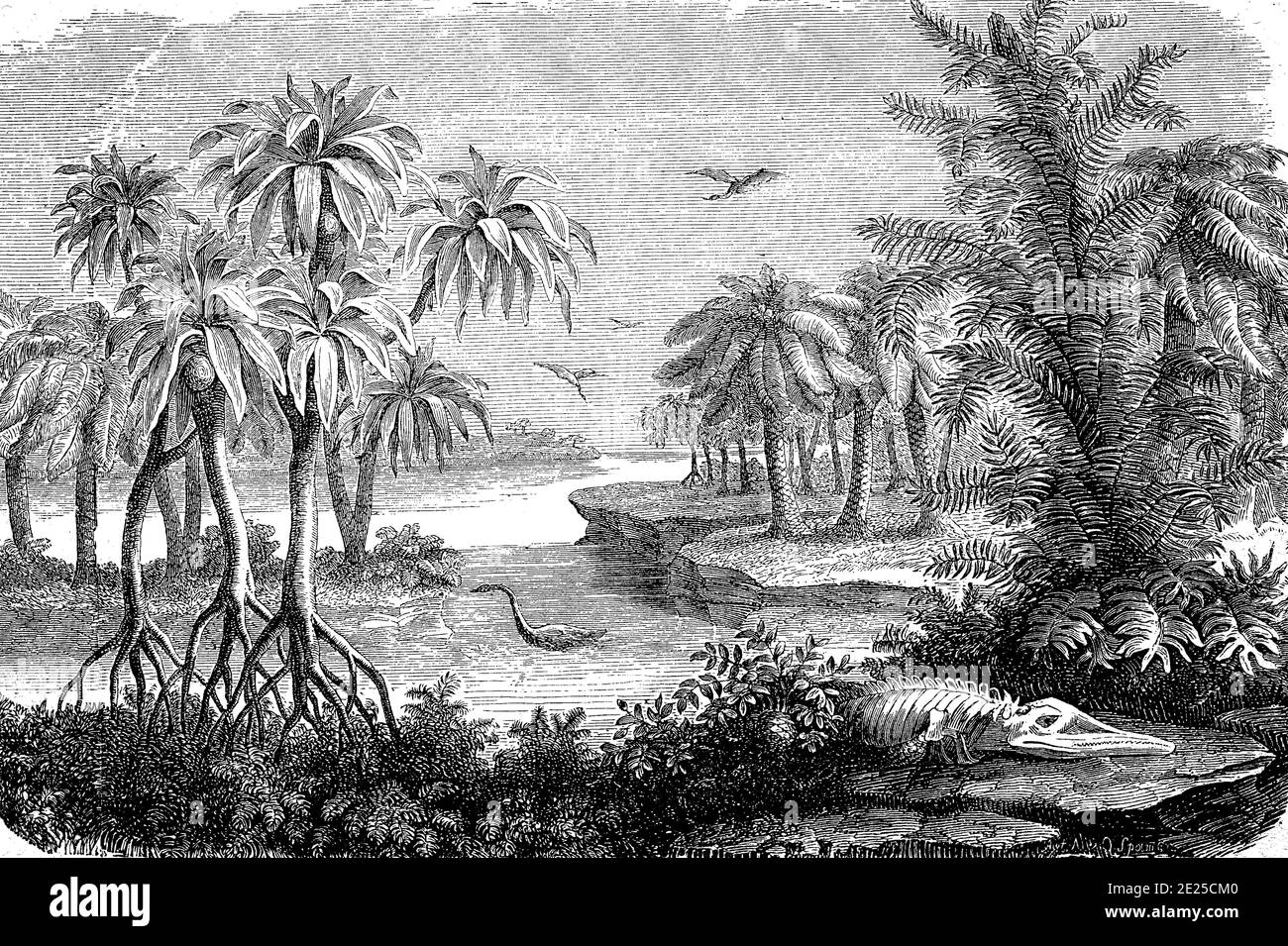 Paysage idéal de la période jurassique, période géologique il y a 201-145 millions d'années / Ideallandschaft aus der Zeit des Jura, erdgeschichtliche Periode vor 201-145 Mio Jahren, Historisch, historique, numérique reproduction améliorée d'un original du 19ème siècle / digitale Reproduktion einer Originalvorlage aus dem 19. Jahrhundert, Banque D'Images