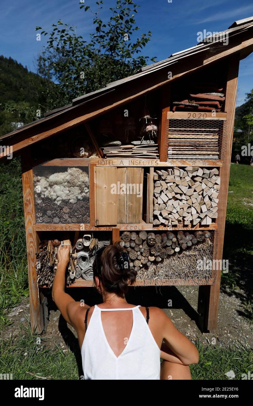 Un hôtel d'insectes est une structure faite par l'homme créée pour fournir un abri pour les insectes. France. Banque D'Images