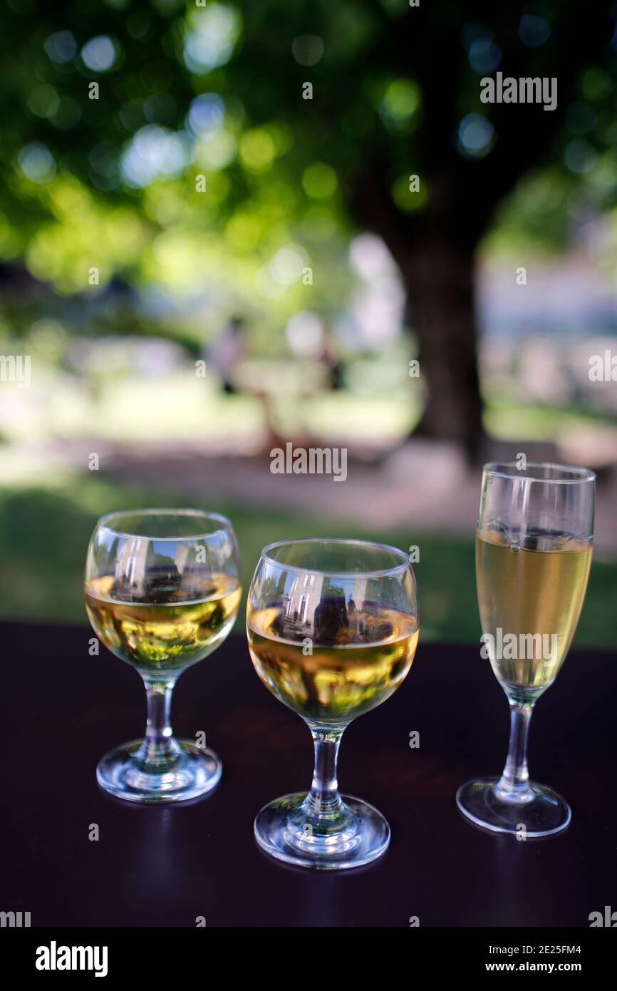 Trois verres de vin blanc. France. Banque D'Images
