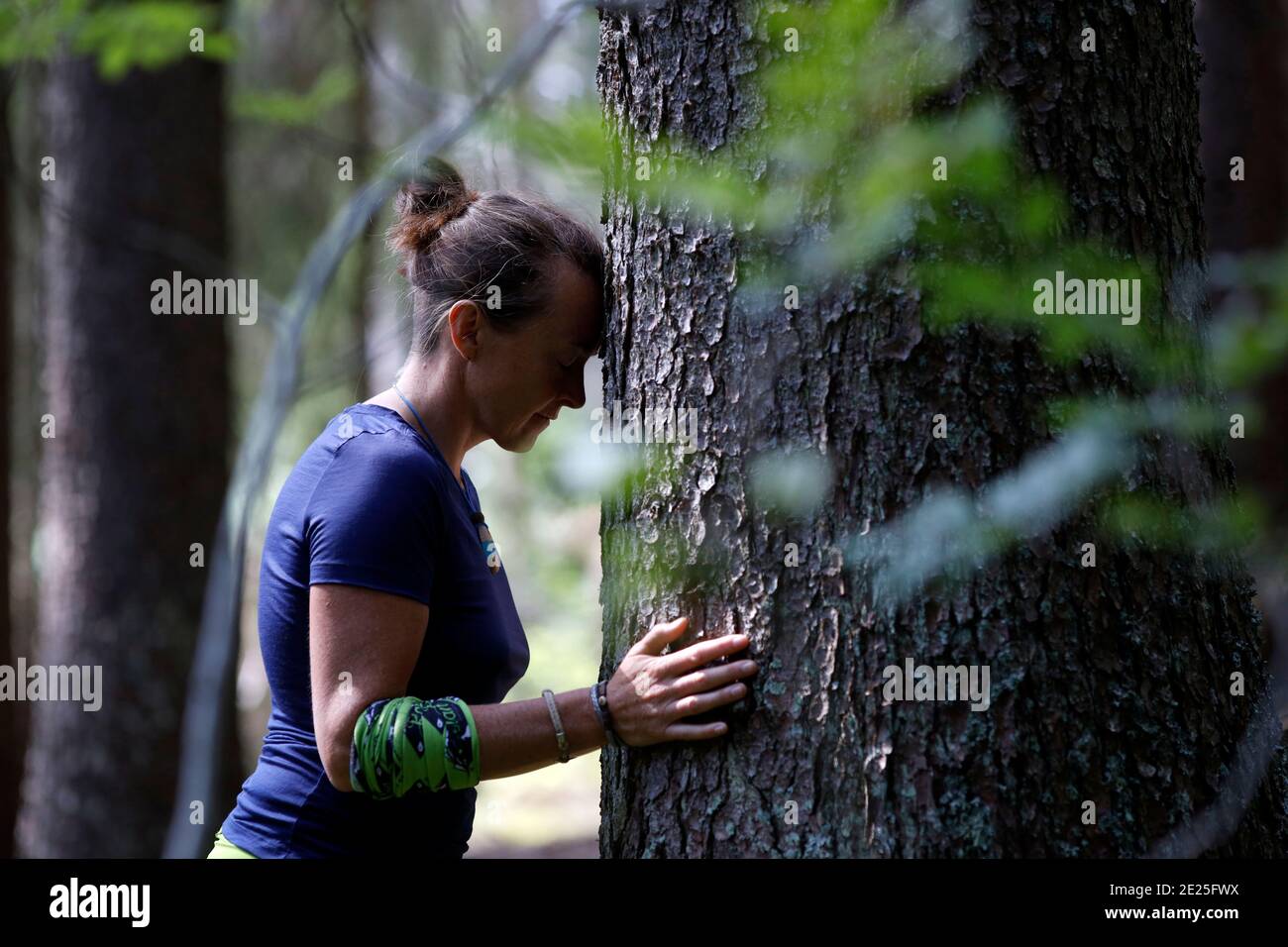 Thérapie de la nature. Qi Gong et bain de forêt, également connu sous le nom de Shinrin-Yoku. France. Banque D'Images