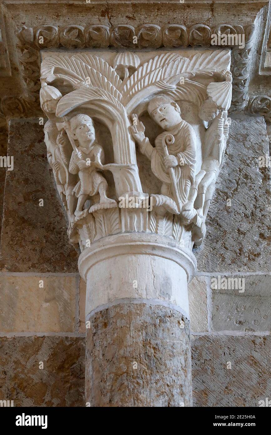 Basilique Sainte-Marie-Madeleine, Vezelay, France. Capitale représentant Saint Martin et l'arbre des païens Banque D'Images