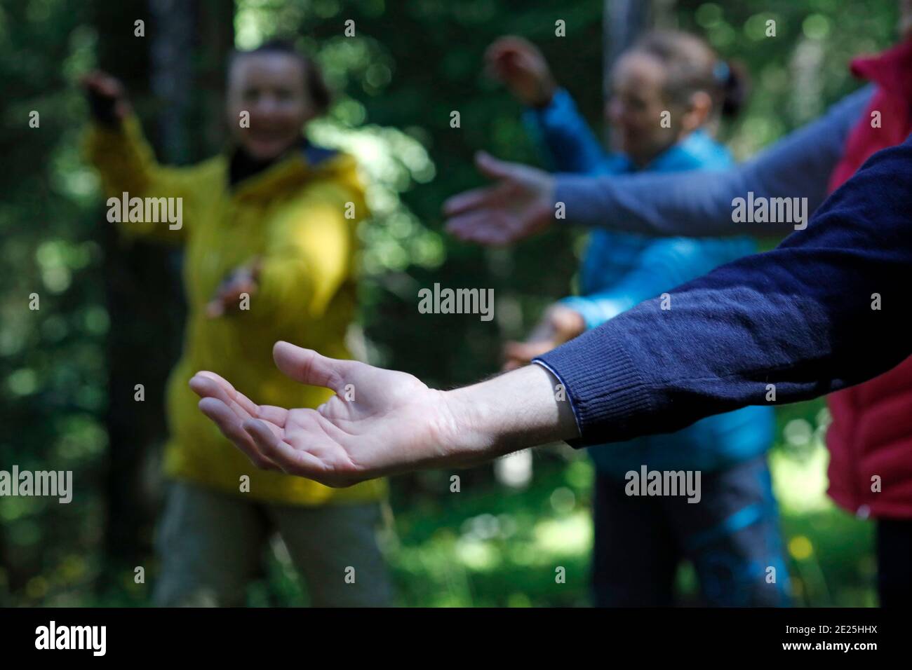 Thérapie de la nature. Qi Gong et bain de forêt, également connu sous le nom de Shinrin-Yoku. France. Banque D'Images