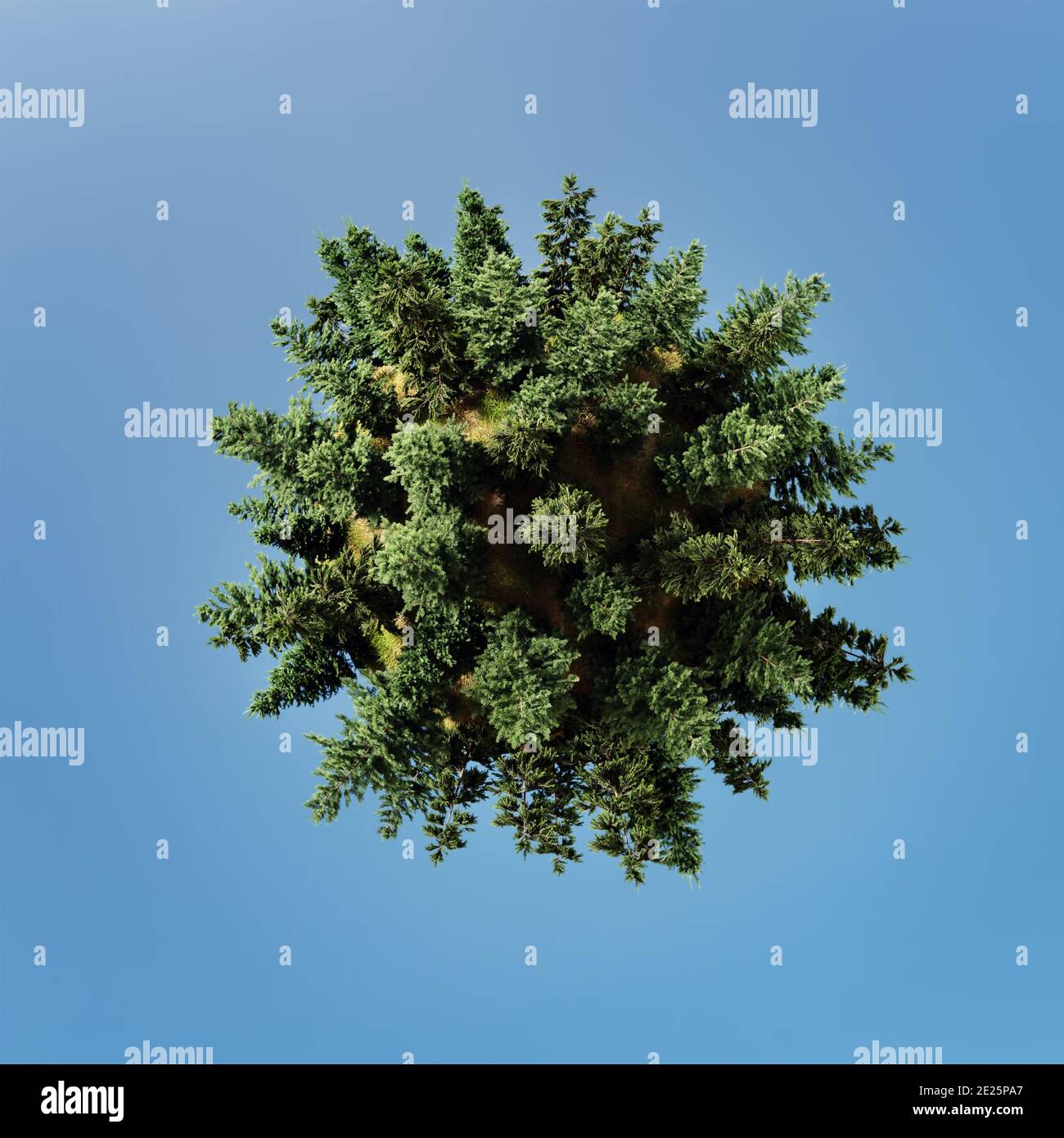 Rendu 3D de Little Planet Forest contre le ciel bleu Banque D'Images