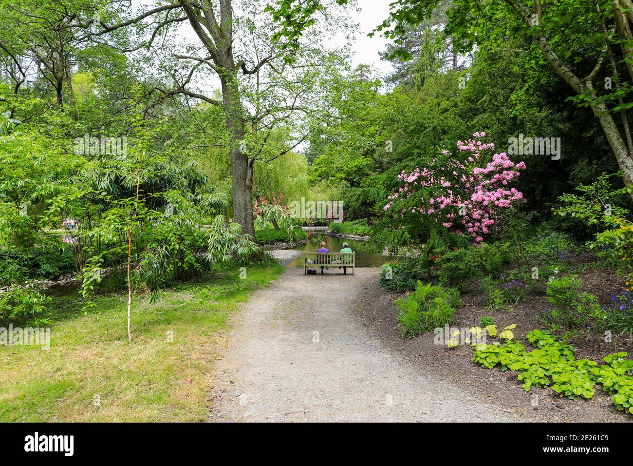 Un couple assis sur un banc donnant sur une piscine à Bodnant Gardens, Tal-y-CAFN, Conwy, pays de Galles, Royaume-Uni Banque D'Images