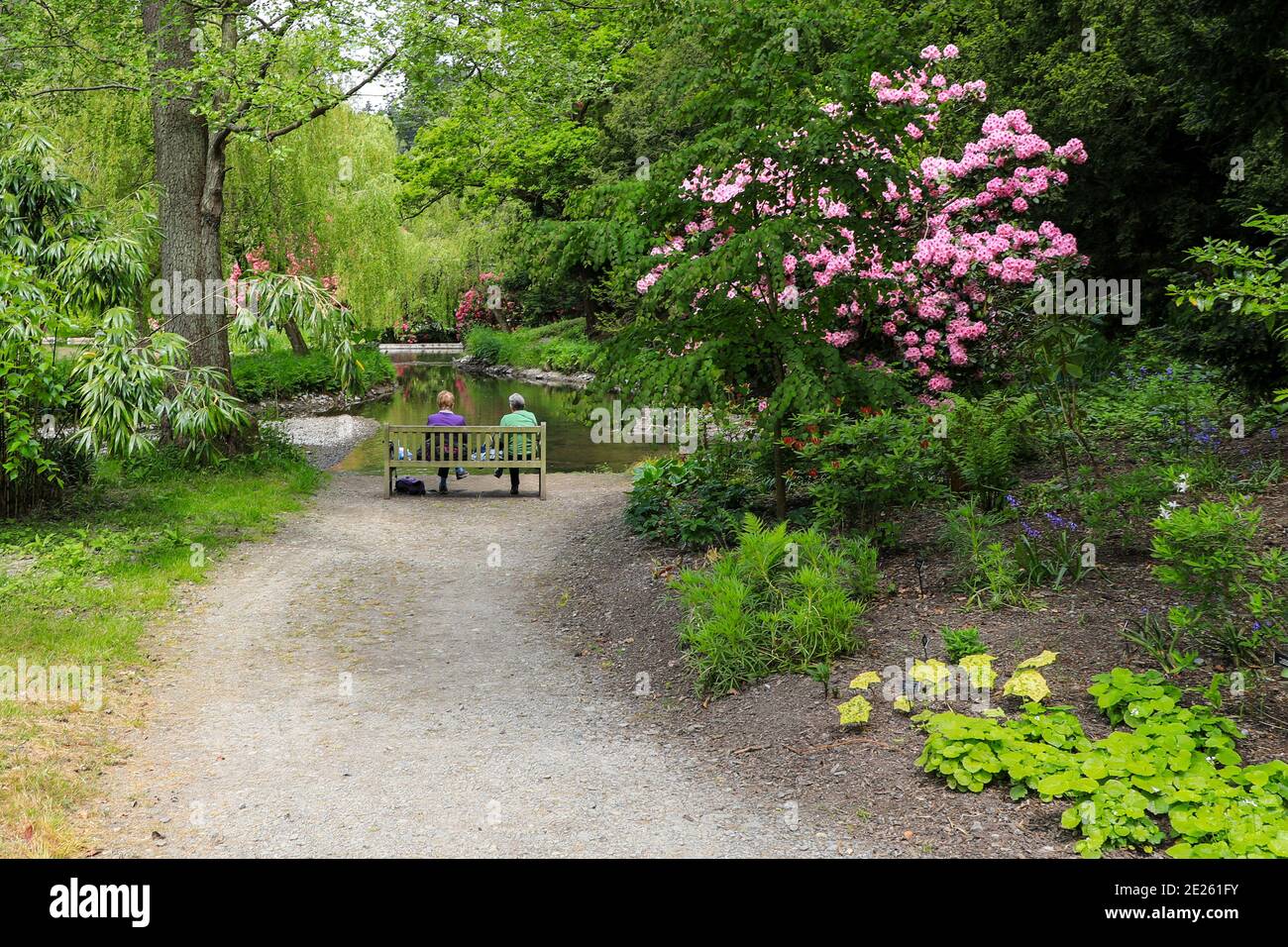 Un couple assis sur un banc donnant sur une piscine à Bodnant Gardens, Tal-y-CAFN, Conwy, pays de Galles, Royaume-Uni Banque D'Images