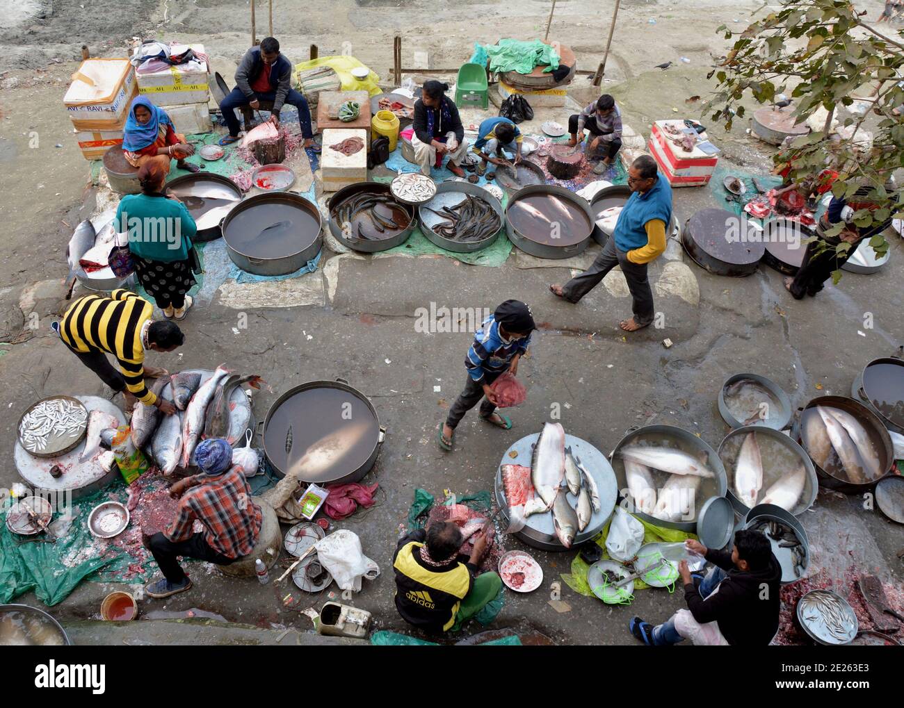 Guwahati, État indien d'Assam. 12 janvier 2021. Les gens achètent du poisson dans un marché de poissons près de la rive de la rivière Brahmaputra à la veille de 'Bhogali Bihu', un festival marquant la fin de la saison de récolte d'hiver à Guwahati, dans le nord-est de l'Inde État d'Assam, le 12 janvier 2021. Credit: STR/Xinhua/Alay Live News Banque D'Images