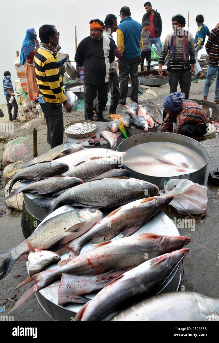 Guwahati, État indien d'Assam. 12 janvier 2021. Les gens achètent du poisson dans un marché de poissons près de la rive de la rivière Brahmaputra à la veille de 'Bhogali Bihu', un festival marquant la fin de la saison de récolte d'hiver à Guwahati, dans le nord-est de l'Inde État d'Assam, le 12 janvier 2021. Credit: STR/Xinhua/Alay Live News Banque D'Images