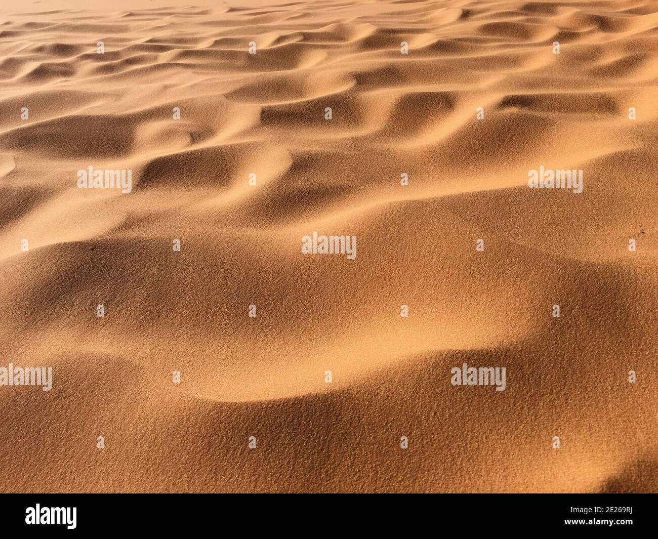 Bords de sable sur le sable désertique de l'Afrique du Nord Bechar Algérie, désert sablonneux de Taghit Banque D'Images