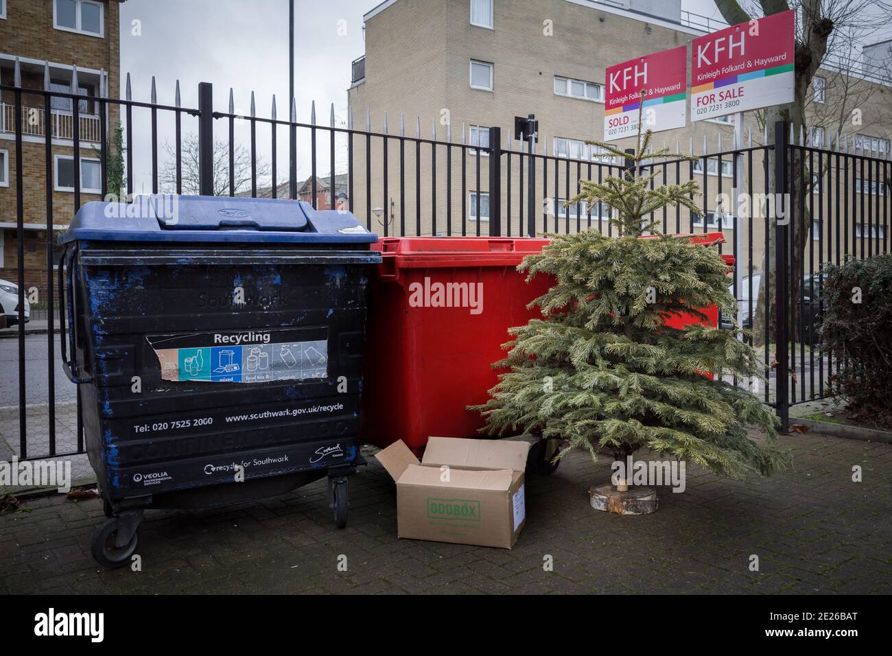 Londres, Royaume-Uni. 12 janvier 2021. Un arbre de Noël est déversé pour collecte à Deptford. Credit: Guy Corbishley/Alamy Live News Banque D'Images