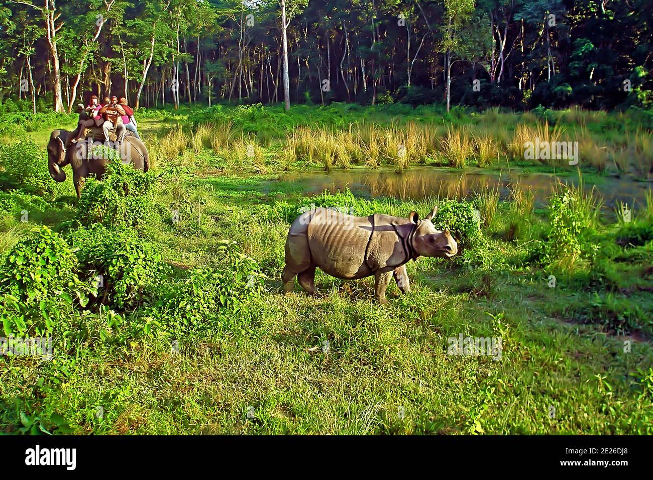 Indienne naturelle se montre à la caméra Indienne naturelle se montre à la caméra