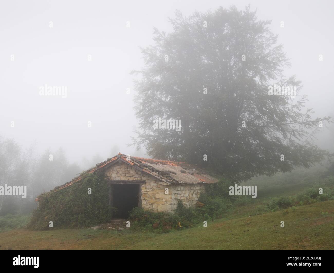 Ancienne grange de montagne dans le brouillard. Province d'Alava, pays basque, Espagne Banque D'Images