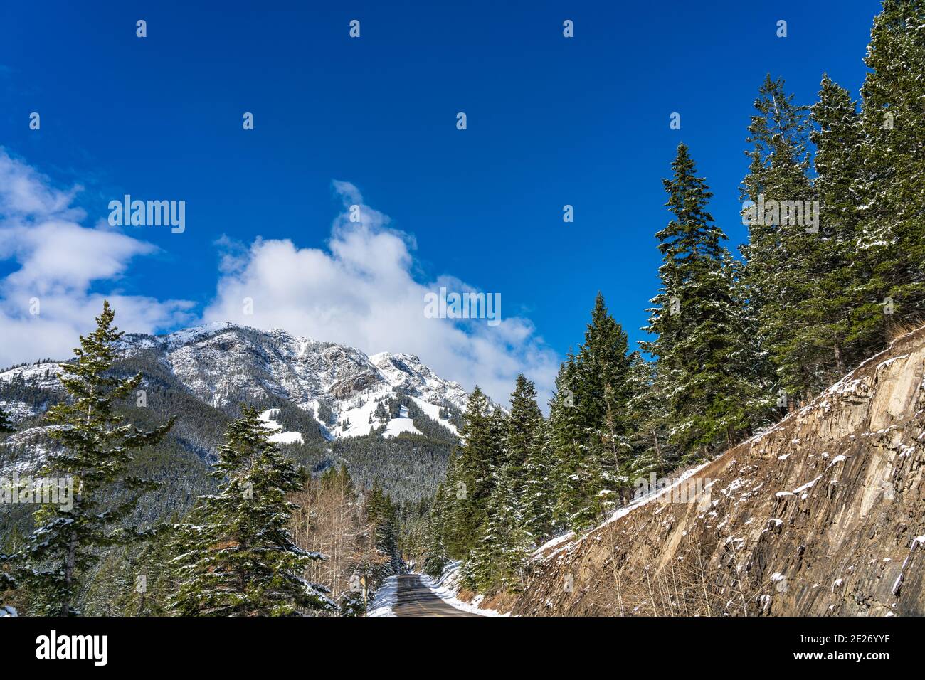 Mont Norquay enneigé avec forêt enneigée sur ciel bleu. Parc national Banff magnifique paysage en hiver. Rocheuses canadiennes, Alberta, Canada. Banque D'Images