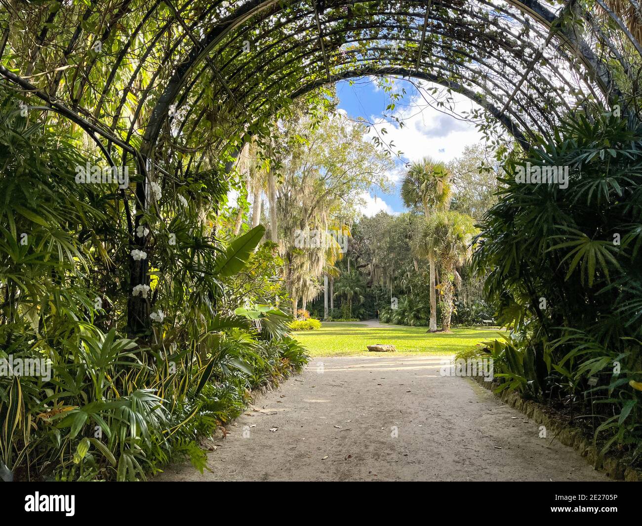 Un chemin de rocher entouré d'un arc de treillis qui s'ouvre dans un beau  jardin botanique tropical Photo Stock - Alamy