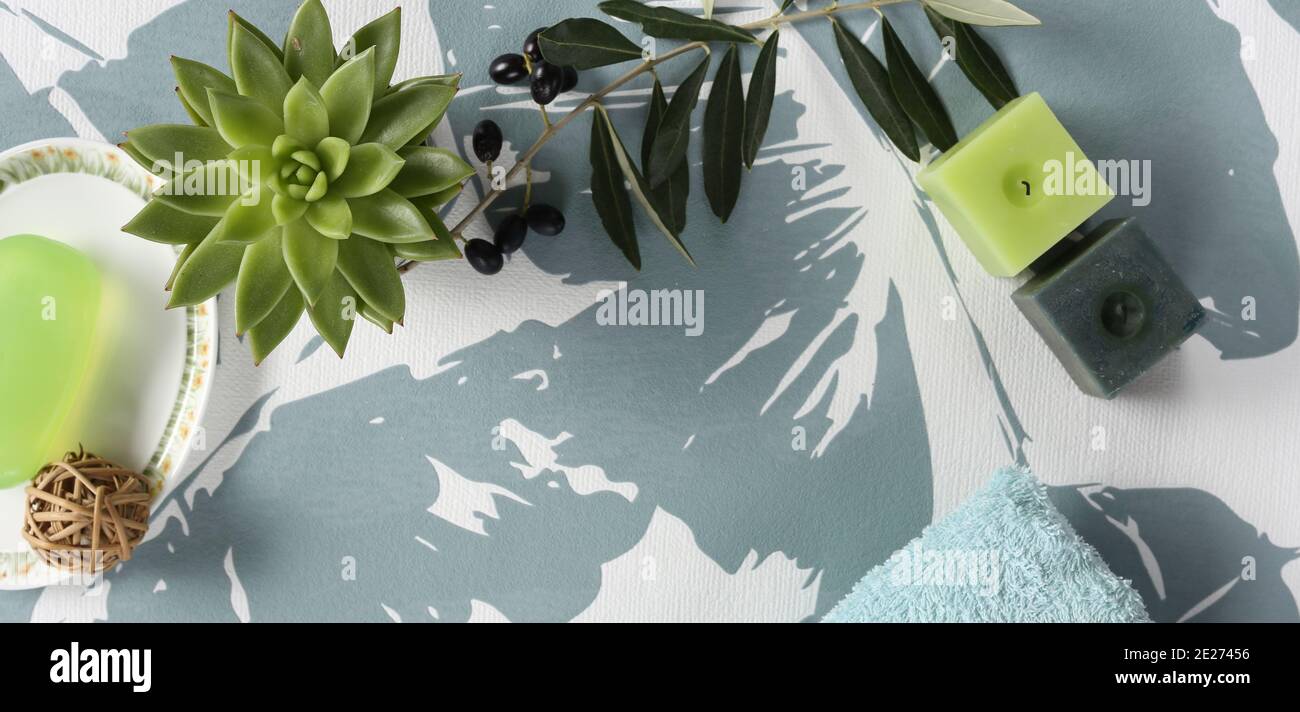 Design esthétique du spa sur fond pastel d'en haut. Plante de maison, savon, bougies. Copier l'espace, placer pour le texte, vue de dessus Banque D'Images