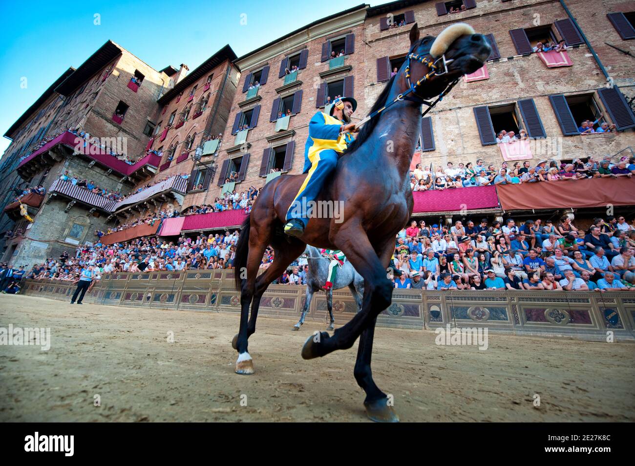 Cheval et jockey, Piazza del Campo, Siena Palio, Sienne, Toscane, Italie Banque D'Images