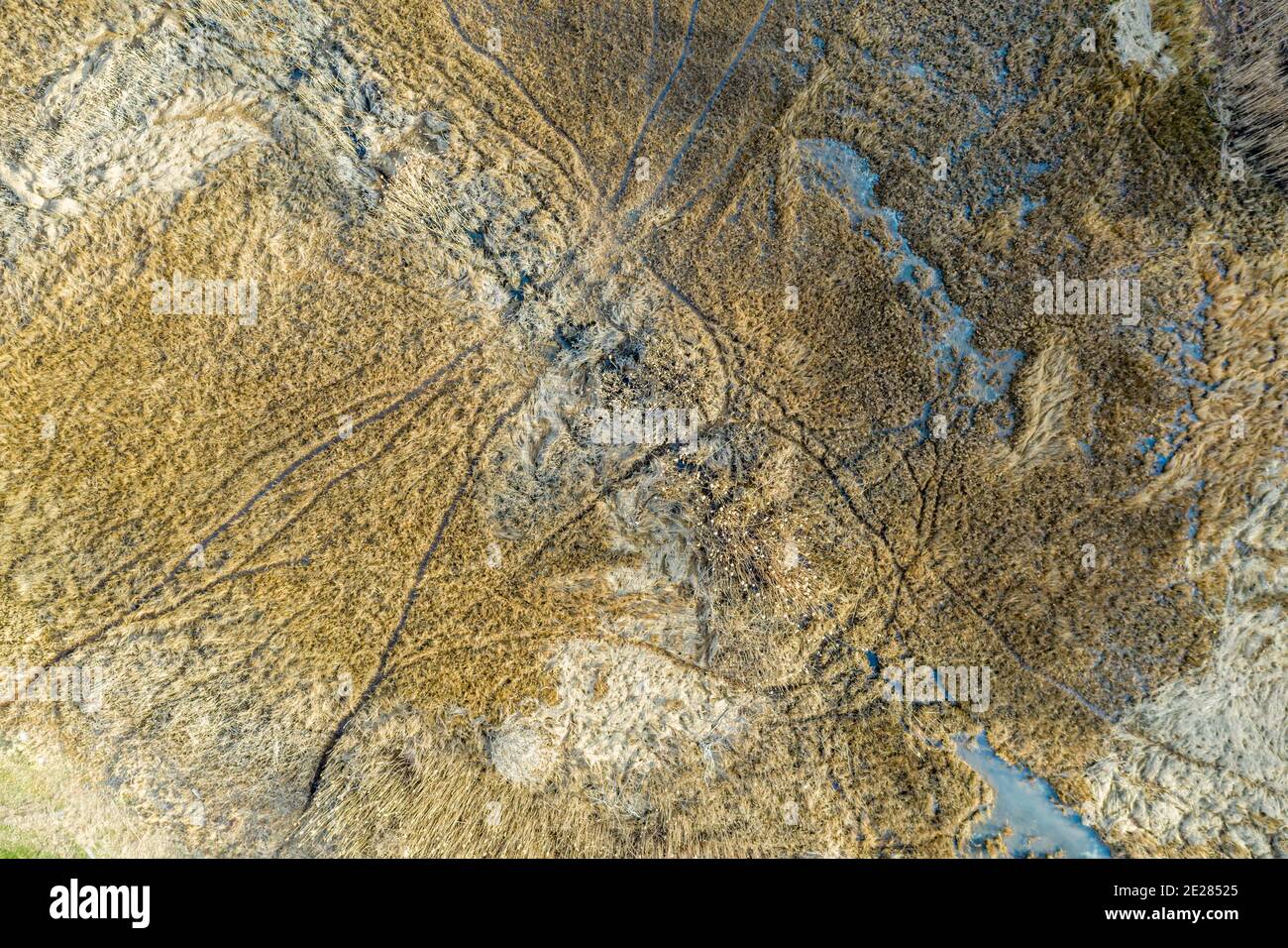 Image aérienne de chemins aléatoires utilisés par les cerfs dans un paysage d'hiver Banque D'Images