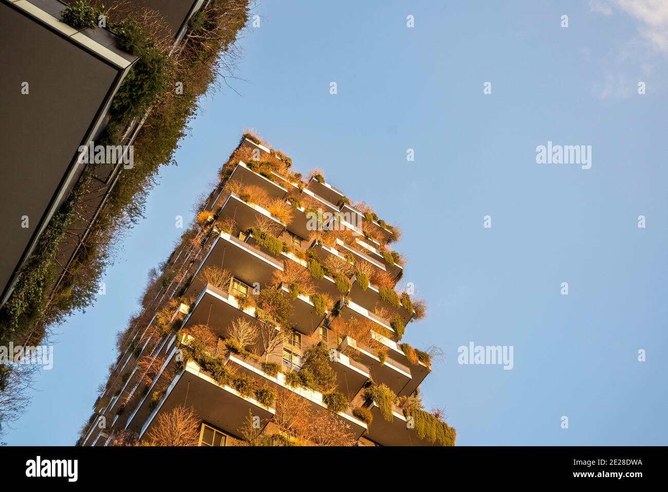 Les célèbres bâtiments Bosco verticale de Milan, conçus par l'architecte Stefano Boeri. Architecture durable Banque D'Images