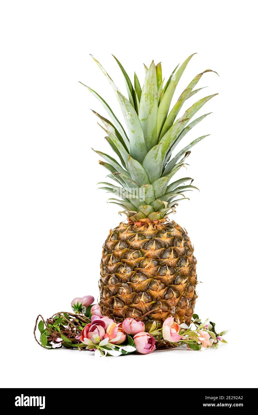 Composition de Pâques de la couronne d'ananas et de fleurs isolée sur fond blanc. Banque D'Images