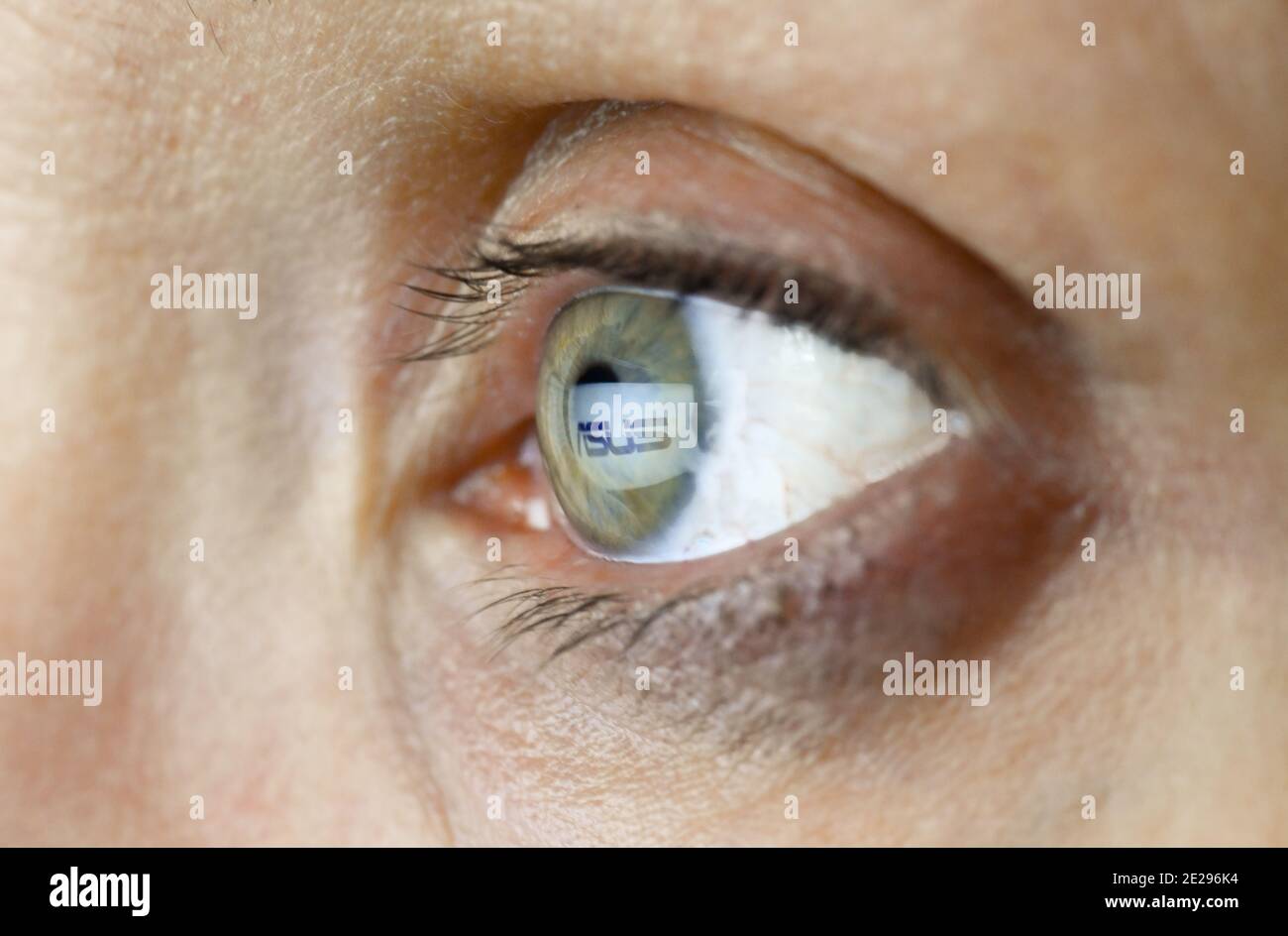 Auge, logo Asus Banque D'Images