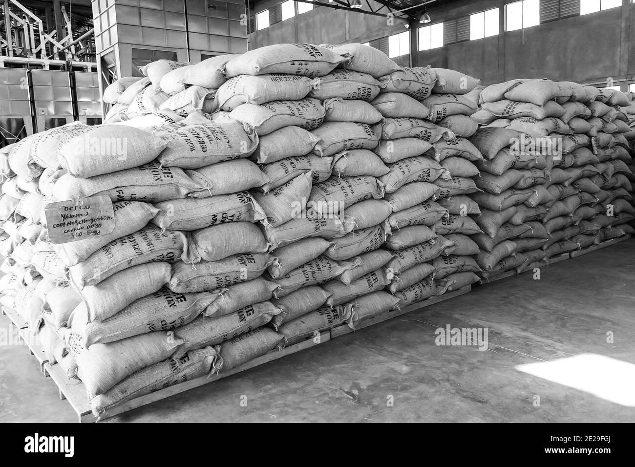 ADDIS ABABA, ETHIOPIE - 05 janvier 2021: Addis Ababa, Ethiopie - 30 2014 janvier: Grands sacs de grains de café dans un entrepôt Banque D'Images