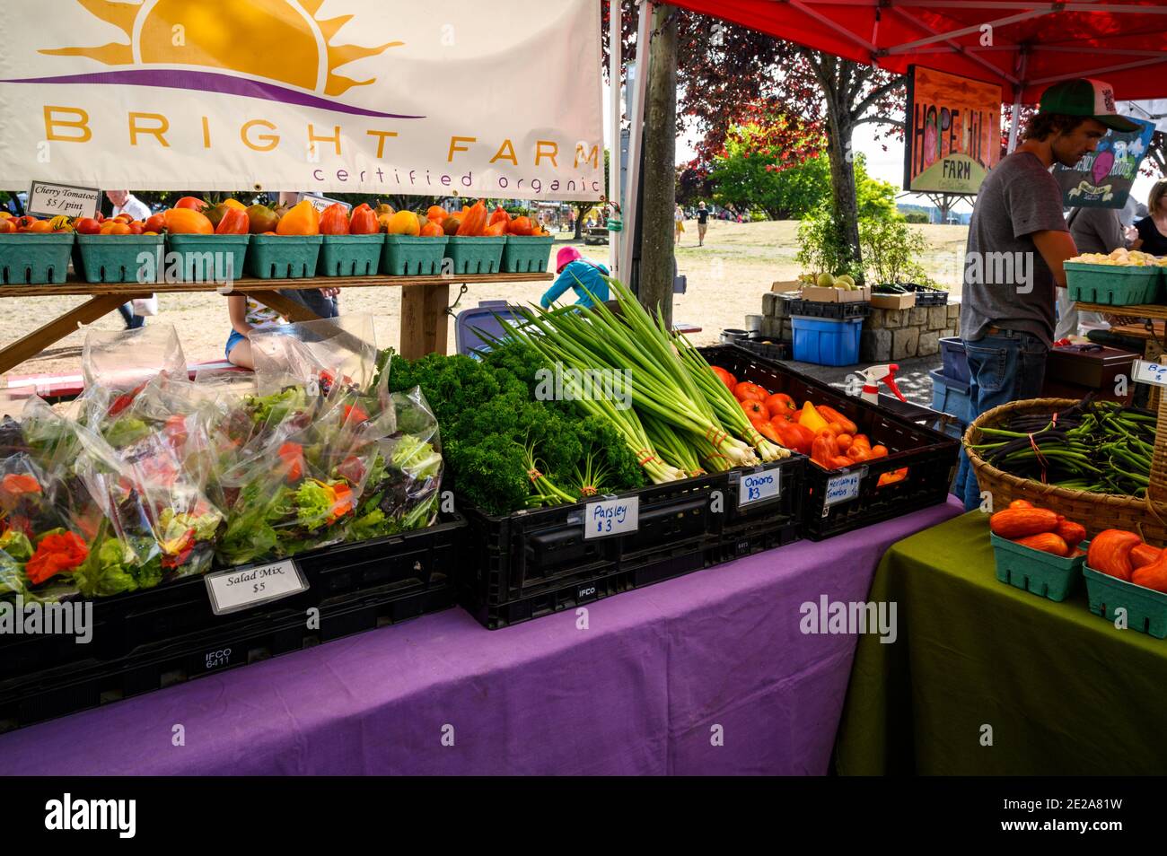 Marché d'été de l'île Salt Spring, Îles Gulf, C.-B., Canada Banque D'Images