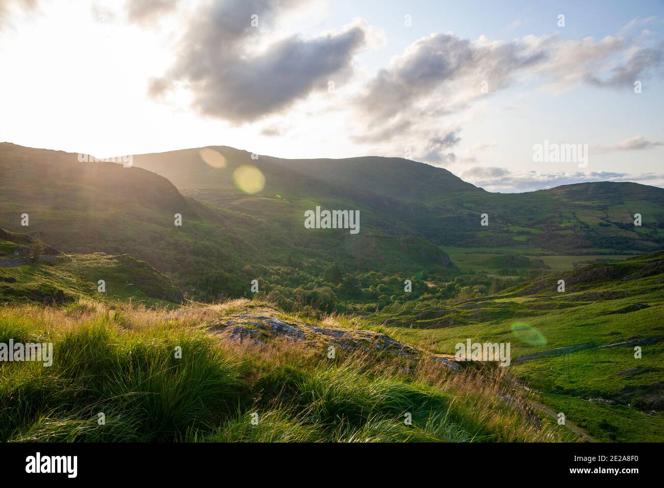Une vue sur un paysage irlandais Banque D'Images