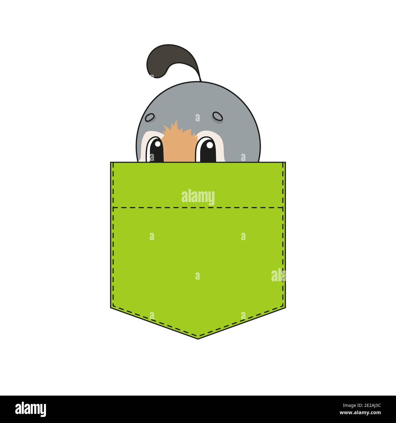 Joli personnage dans la poche pour chemise. Caille oiseau. Illustration vectorielle colorée. Style de dessin animé. Isolé sur fond blanc. Elément de conception. Modèle pour yo Illustration de Vecteur
