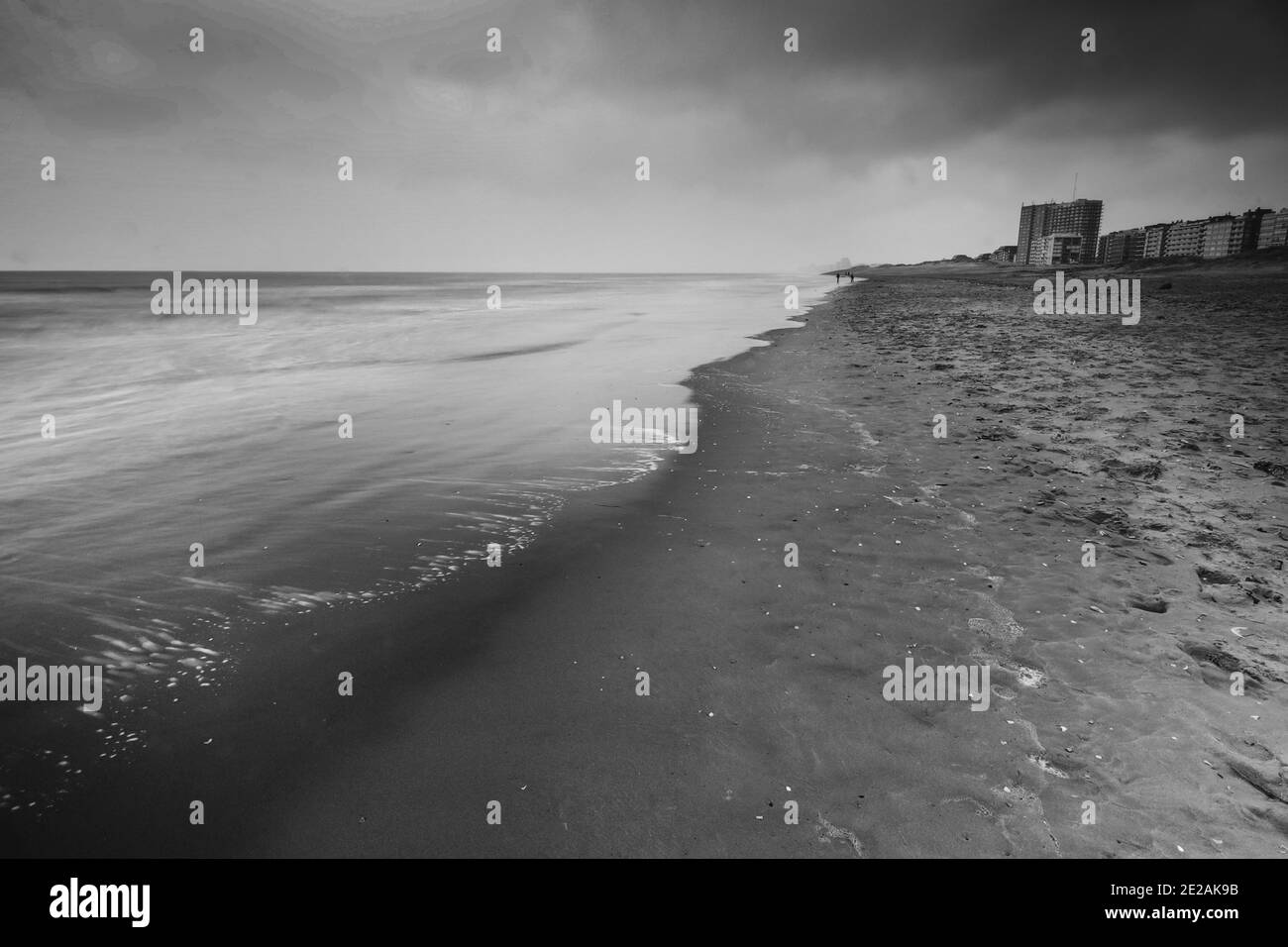 belles images en noir et blanc de la côte et d'un arbre. Tous tournés en Belgique Banque D'Images