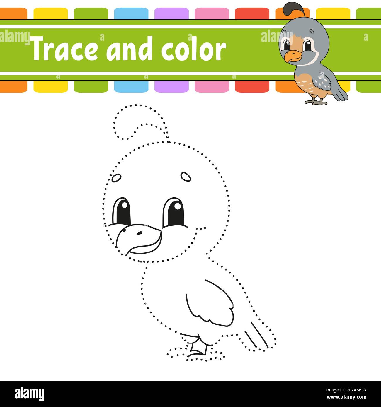 Tracé et couleur. Caille oiseau. Page de coloriage pour enfants. Pratique de l'écriture manuscrite. Feuille de travail de développement de l'éducation. Page activité. Jeu pour les tout-petits. Isolé Illustration de Vecteur