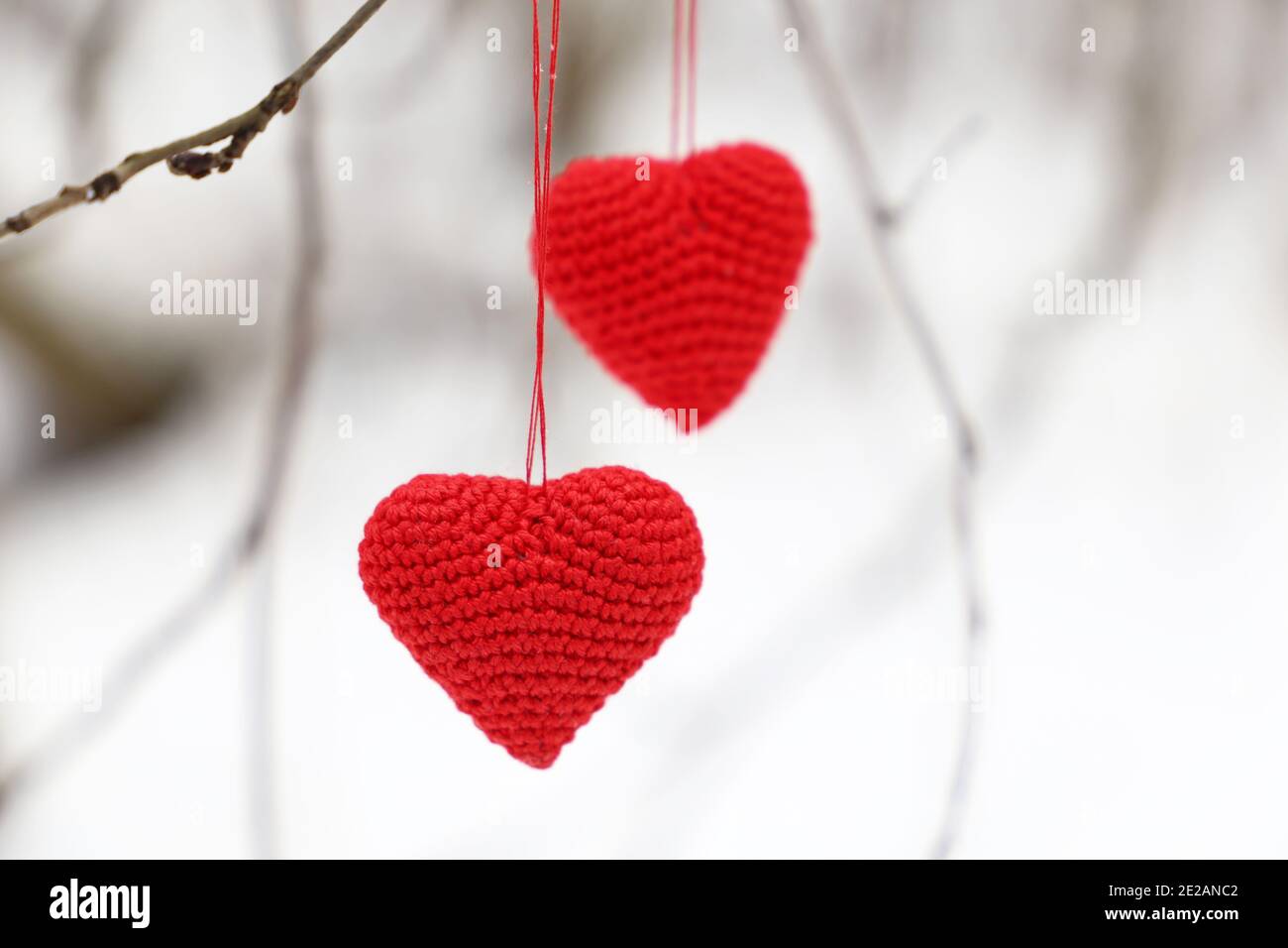 J'aime les coeurs accrochés sur une branche d'arbre sur fond blanc enneigé. Deux symboles Saint-Valentin tricotés rouges en forêt d'hiver, arrière-plan pour les vacances Banque D'Images