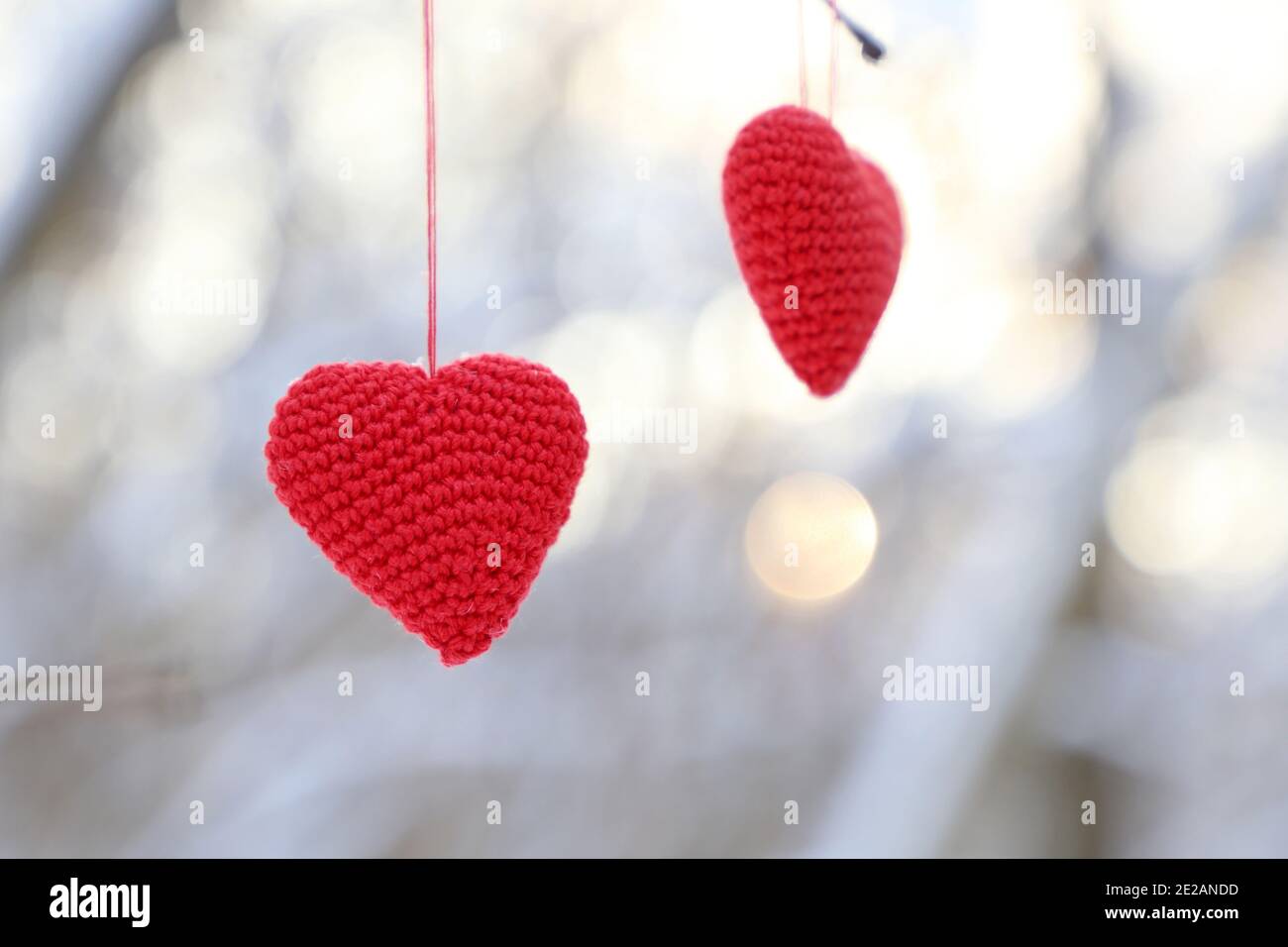 Coeurs de Saint-Valentin suspendus sur une branche d'arbre dans la forêt d'hiver. Deux coeurs tricotés rouges au soleil, symbole de l'amour romantique, fond pour les vacances Banque D'Images