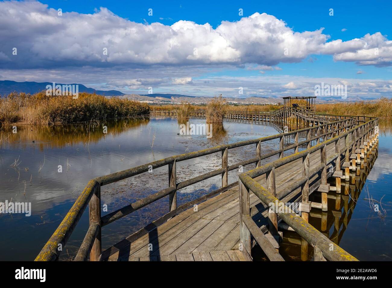 El Hondo de Elche, Réserve naturelle des lacs et oiseaux du Fondo de Elche, Costa Blanca, Espagne Banque D'Images