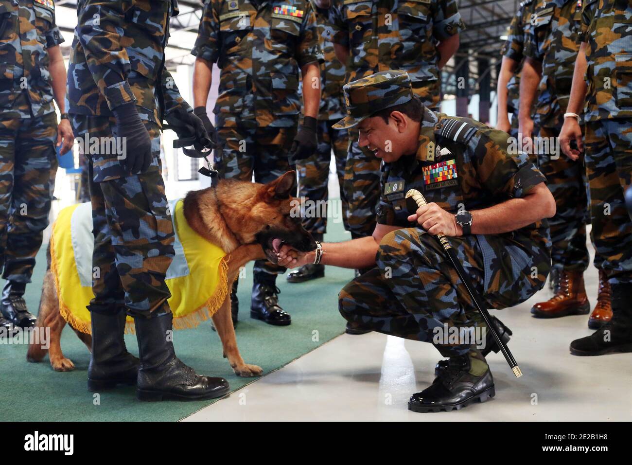 (210113) -- COLOMBO, le 13 janvier 2021 (Xinhua) -- UN entraîneur interagit avec un chien qui se renifle avant d'assister à une cérémonie de passage à la base aérienne de la Sri Lanka (SLAF) à Katunayake, Sri Lanka, le 13 janvier 2021. Un groupe de 20 chiens sous l'unité des chiens de la SLAF a assisté à la cérémonie du pass mercredi. Ils ont été spécialement formés en tant que chiens de chasse pour détecter le trafic de drogues et seraient déployés dans les aéroports du pays. (Photo par Ajith Perera/Xinhua) Banque D'Images