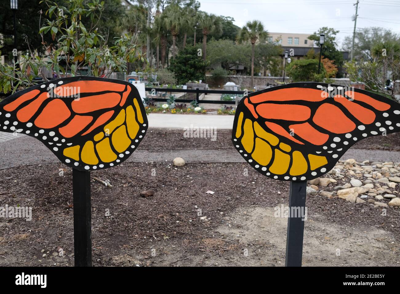 Les jardins urbains avec de nouvelles caractéristiques comme les ailes de papillon, la nouvelle parcelle de sol, la couverture pour le temps d'hiver, comme les choux, les poivrons, et de nouvelles plantes de croissance survivent. Banque D'Images