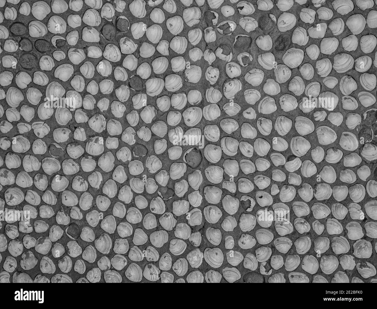Arrière-plan. Texture. Mur d'une maison en pierre bordée de petites coquilles au Sénégal, Afrique de l'Ouest. Banque D'Images
