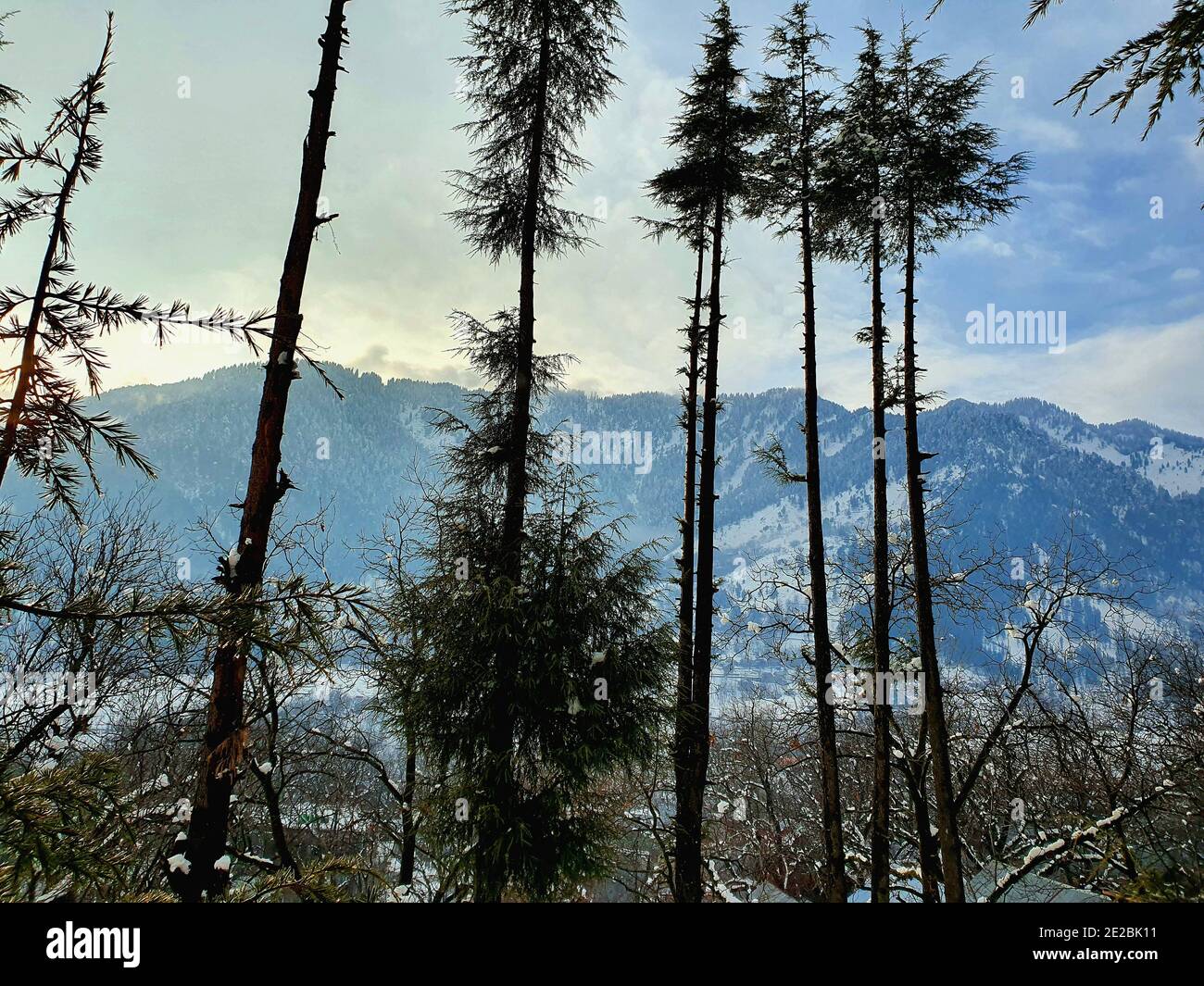 La chute de neige au Jammu-et-Cachemire est courante de décembre à février, la neige attire les touristes et les jeux d'hiver sont également joués sur la neige. Banque D'Images