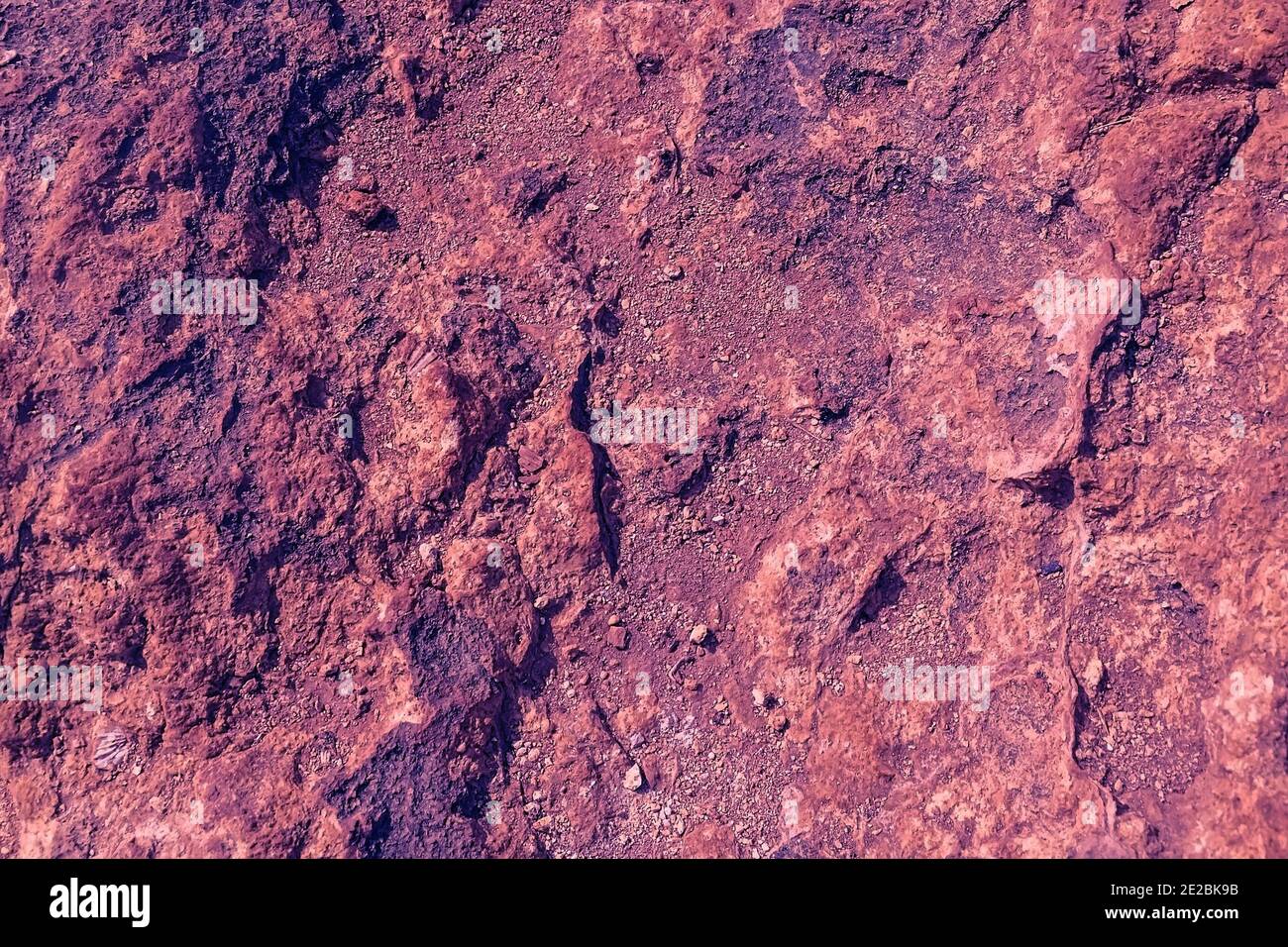 La texture de grès de près. plage de benagil au Portugal Banque D'Images
