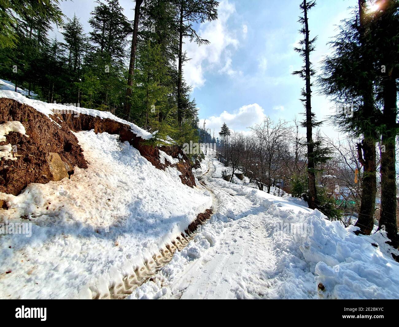 La chute de neige au Jammu-et-Cachemire est courante de décembre à février, la neige attire les touristes et les jeux d'hiver sont également joués sur la neige. Banque D'Images