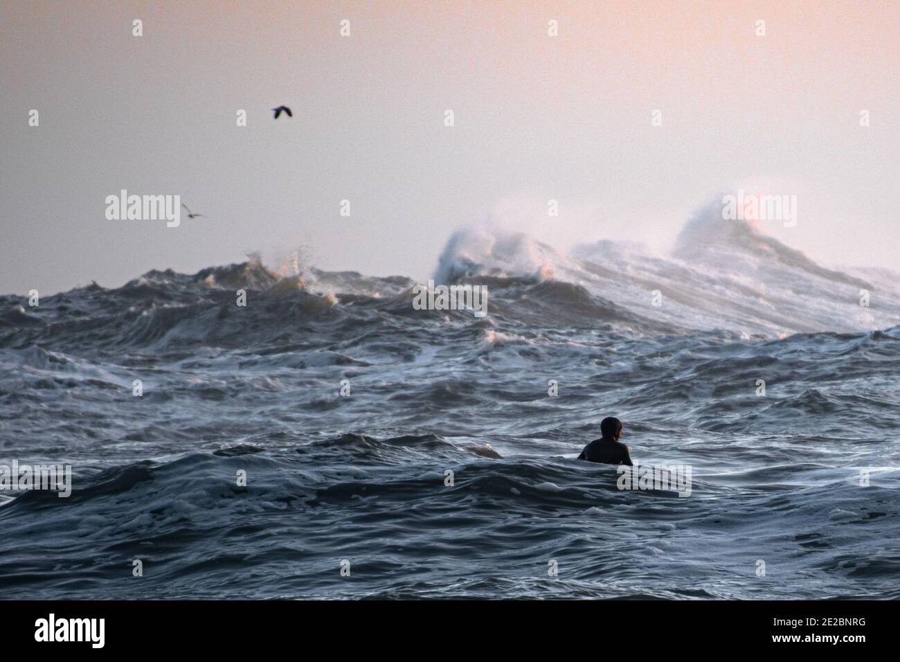 Océan côtier sauvage de Trinidad et vagues avec surfeur et oiseaux Banque D'Images