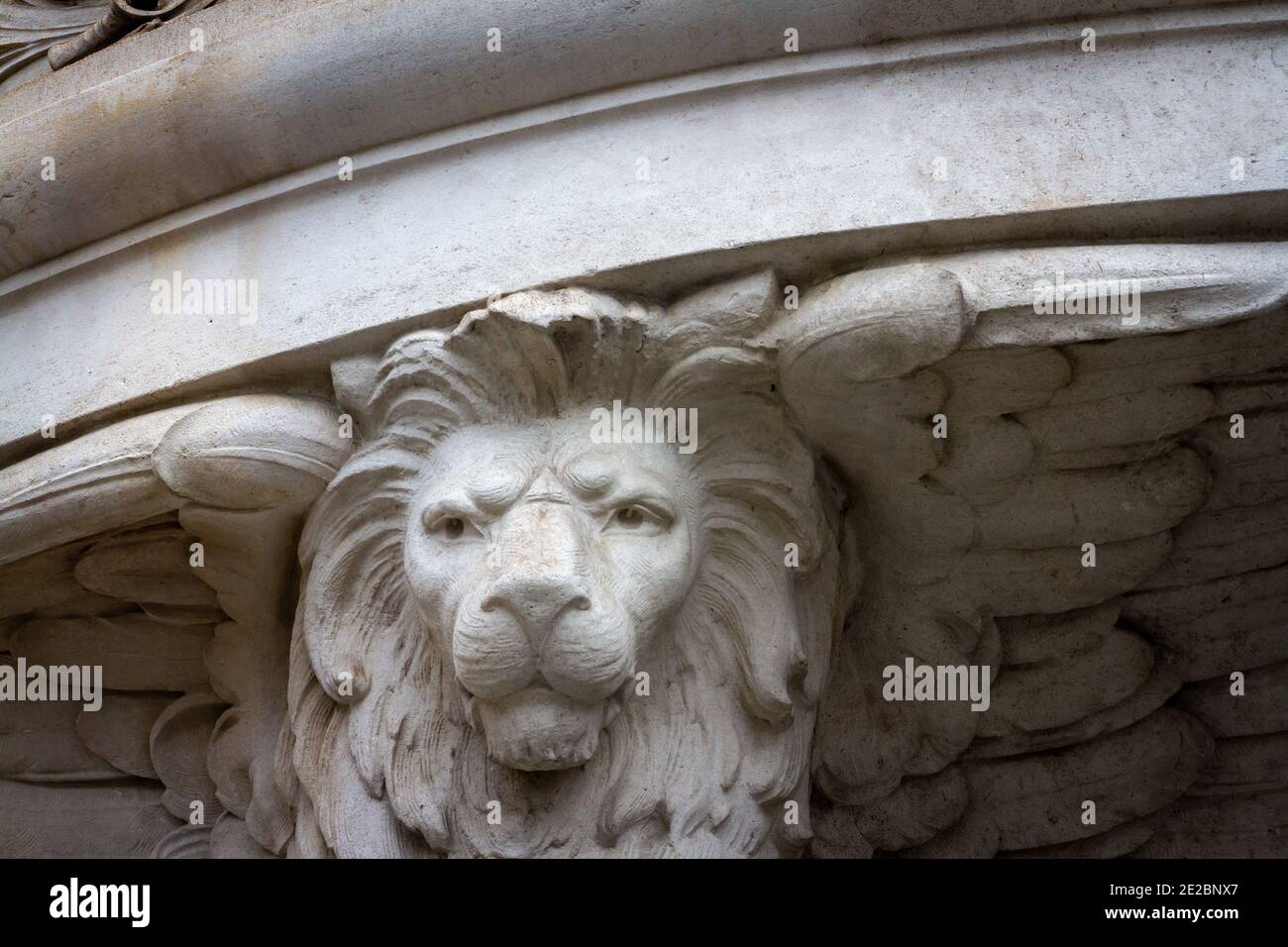 Tenant une structure, ce lion féroce est majestueux Banque D'Images